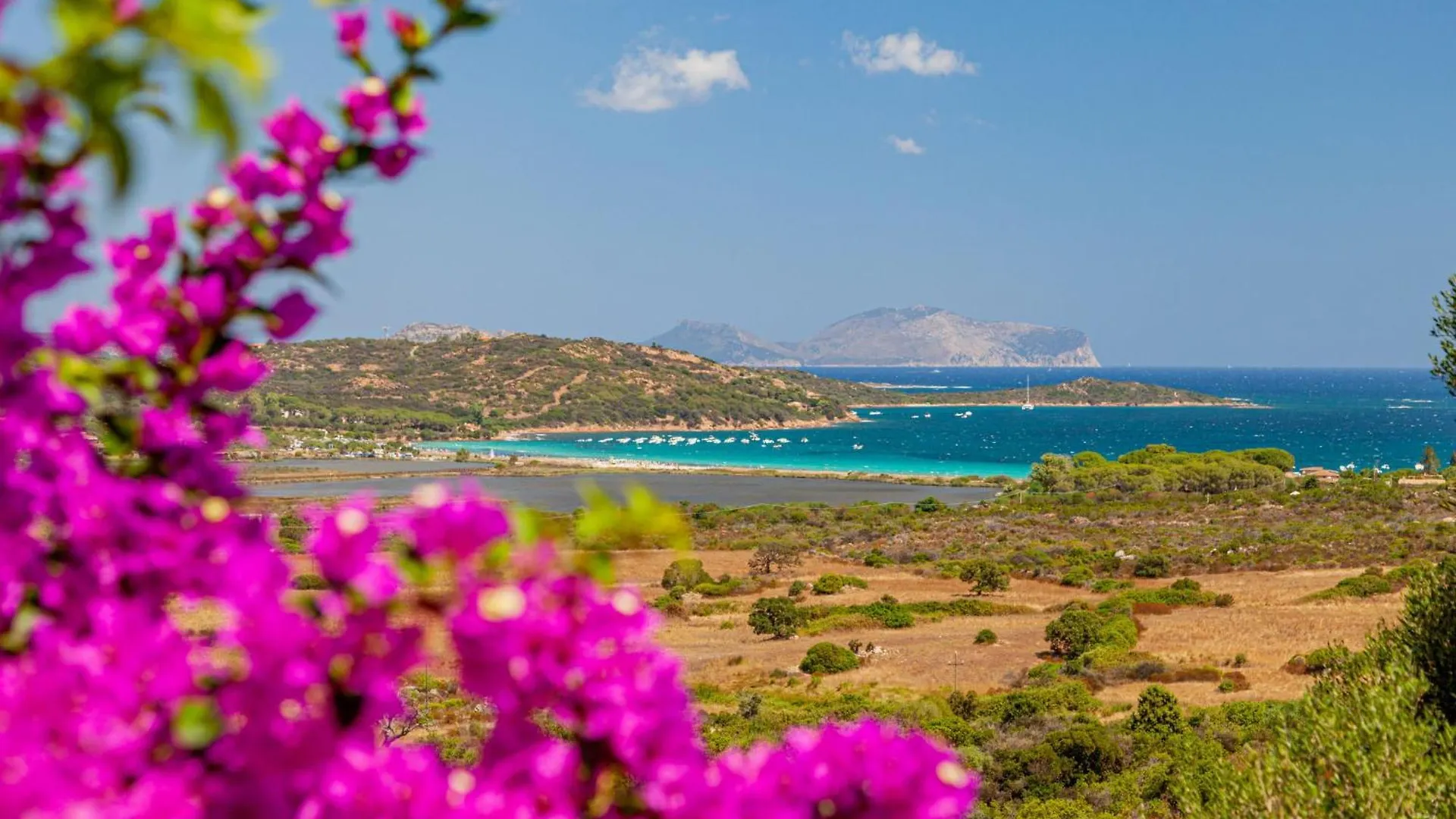 Apartment Mono 2 - Lu Nibareddu By Interhome Porto Taverna
